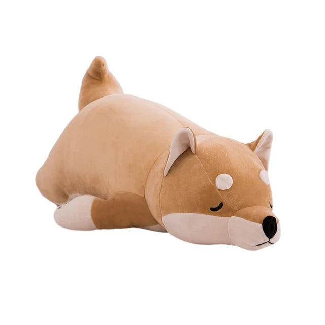 Shiba