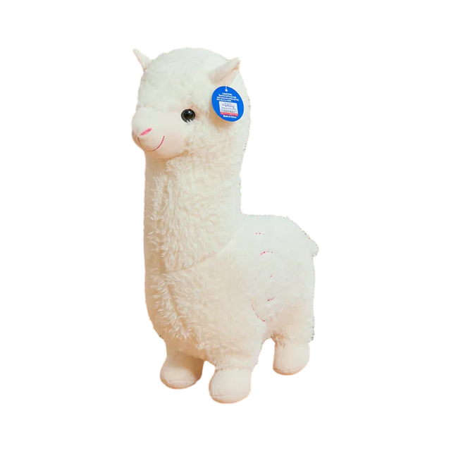 Alpaca